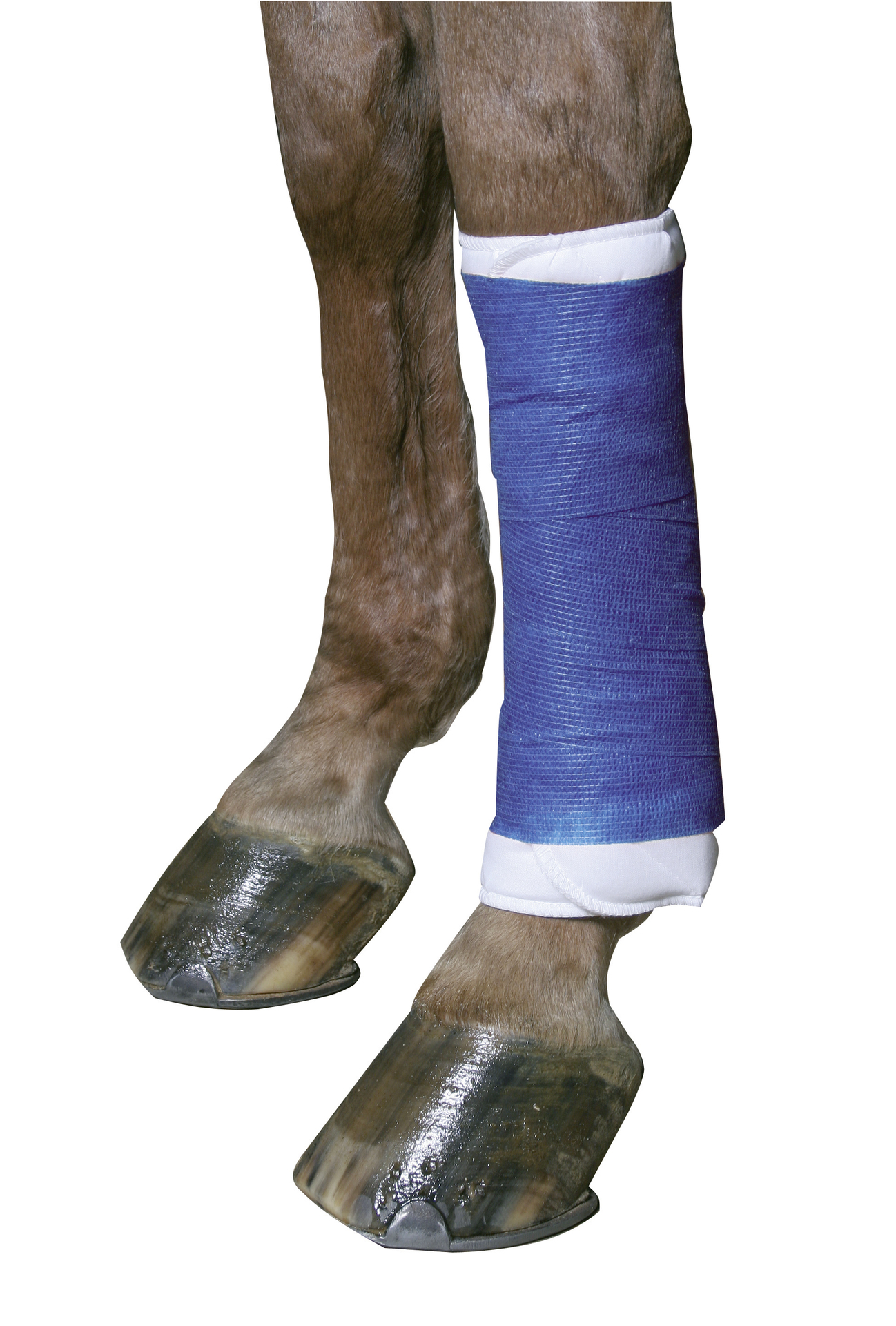 EquiLastic selbsthaftende Bandage