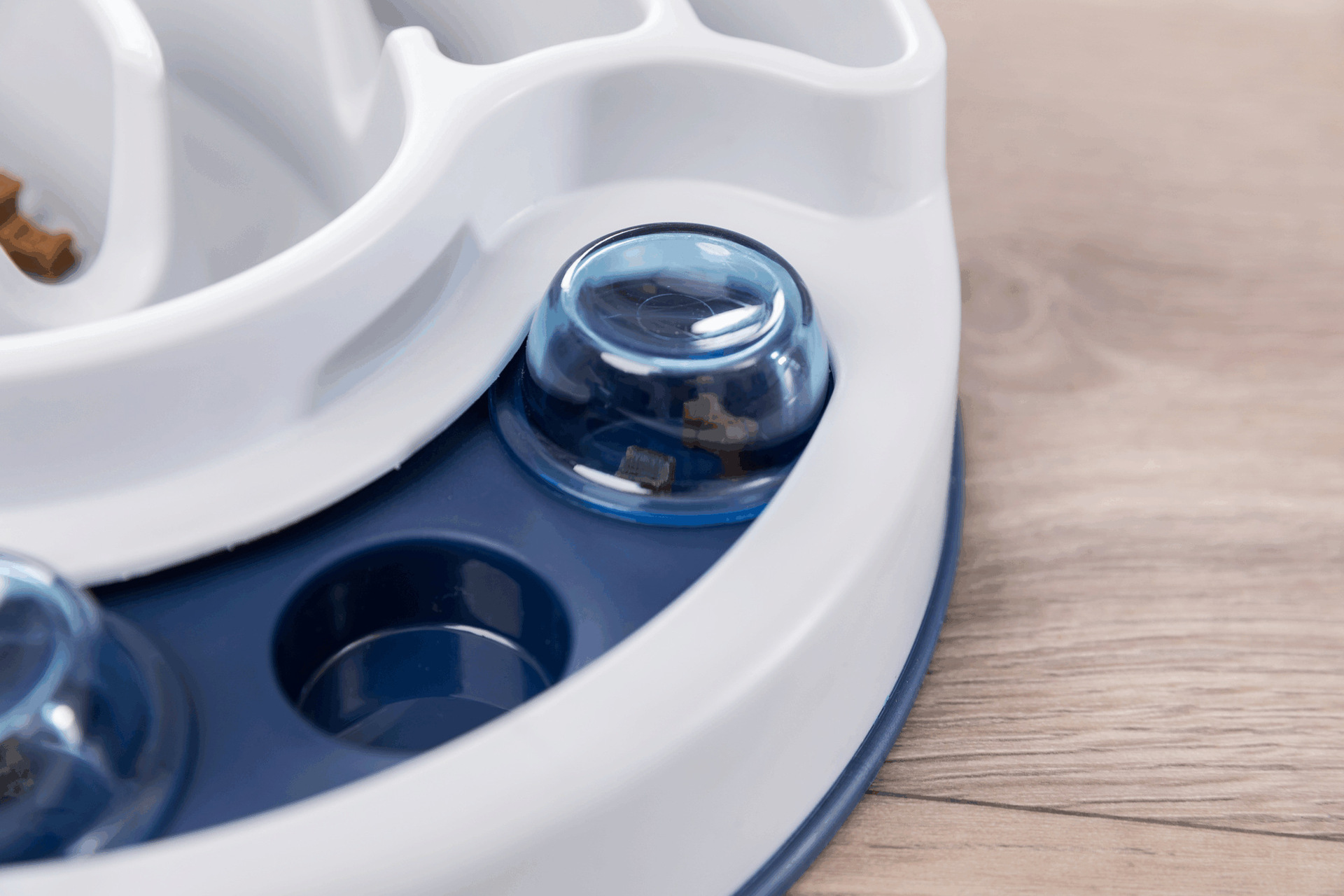 Activity Slide & Feed Strategiespiel