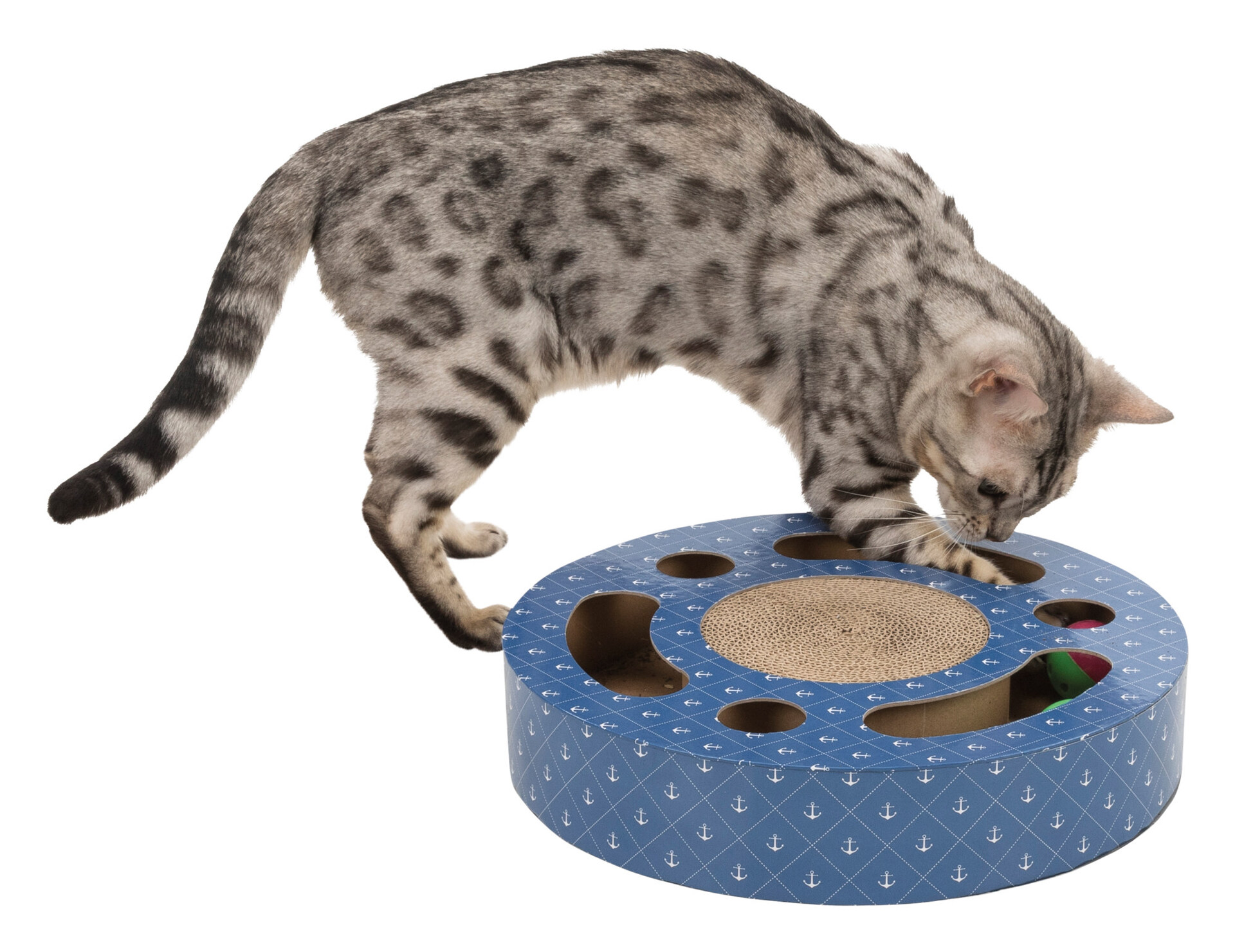 Kratztrommel bei leitermann.de günstig kaufen Kratztrommel