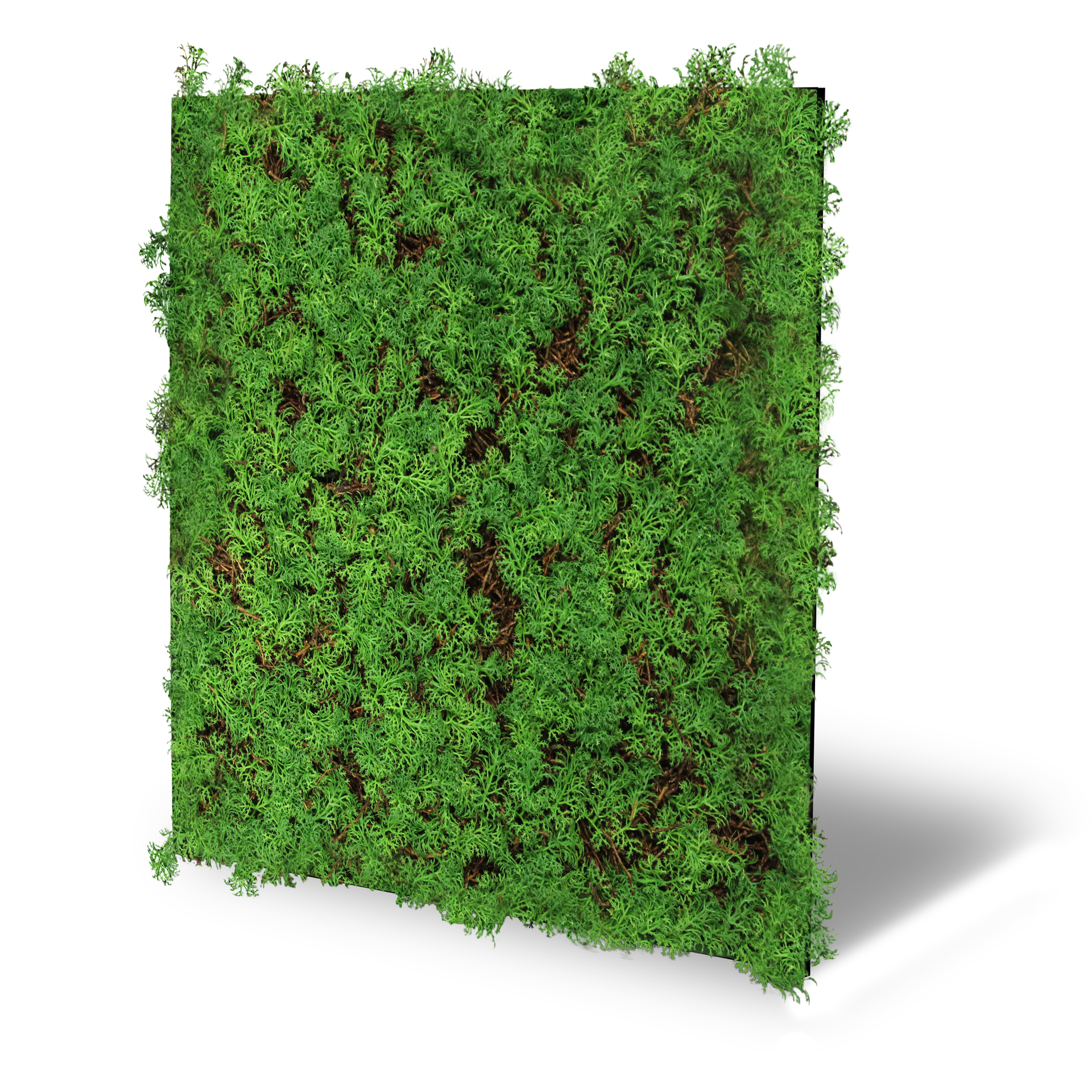 Wandpaneel Modular Wall Flora