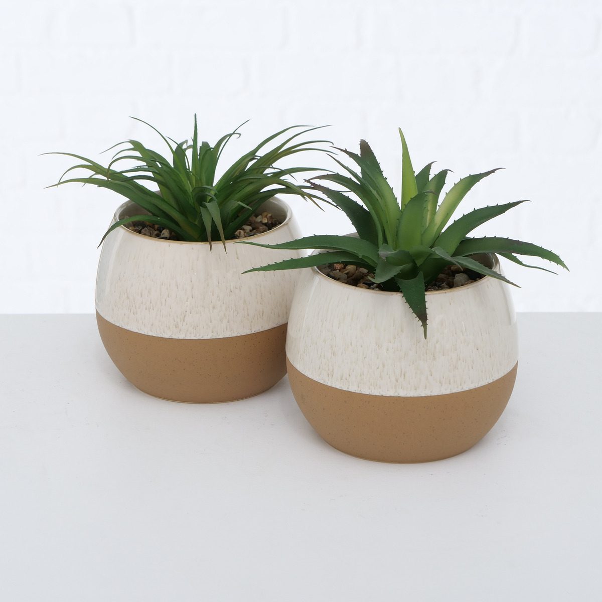 Topfpflanze Lovio, 2-fach sortiert bei leitermann.de günstig kaufen Topfpflanze Lovio, 2-fach sortiert