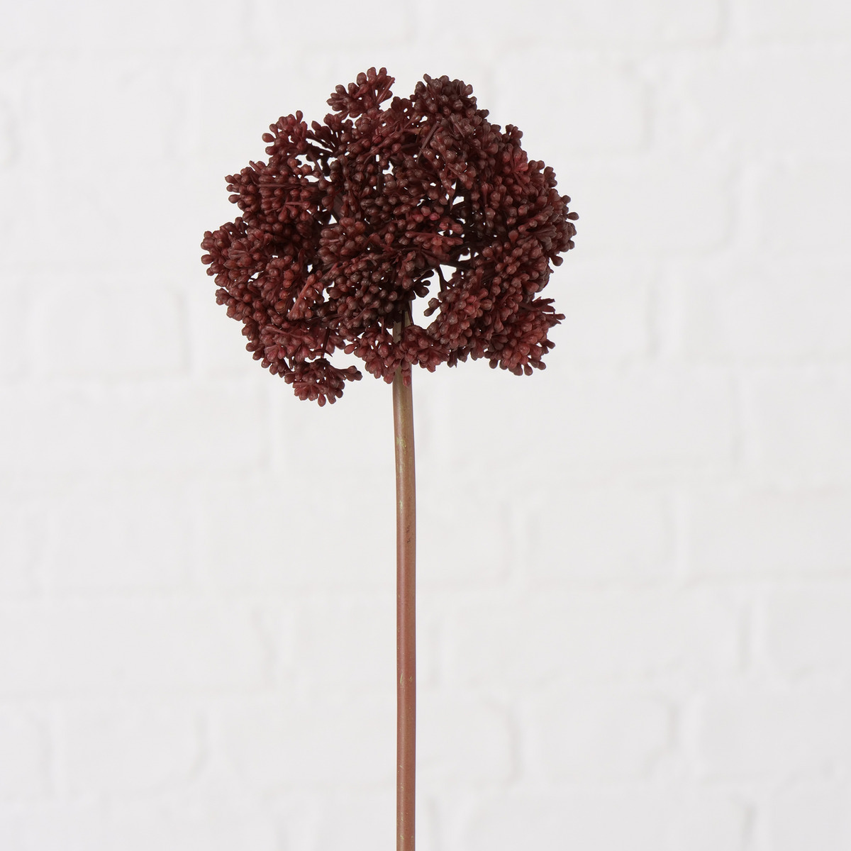 Stielblume 3-fach sortiert bei leitermann.de günstig kaufen Stielblume 3-fach sortiert