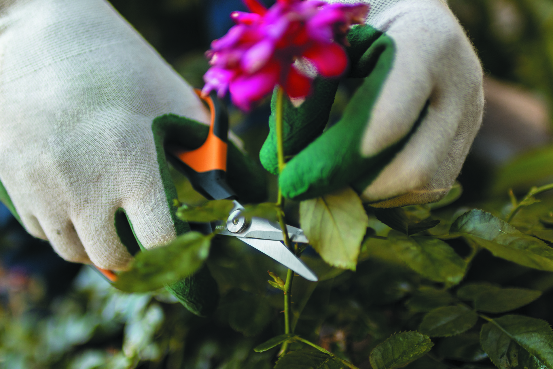 Solid Universalgartenschere SP150 bei leitermann.de günstig kaufen Solid Universalgartenschere SP150