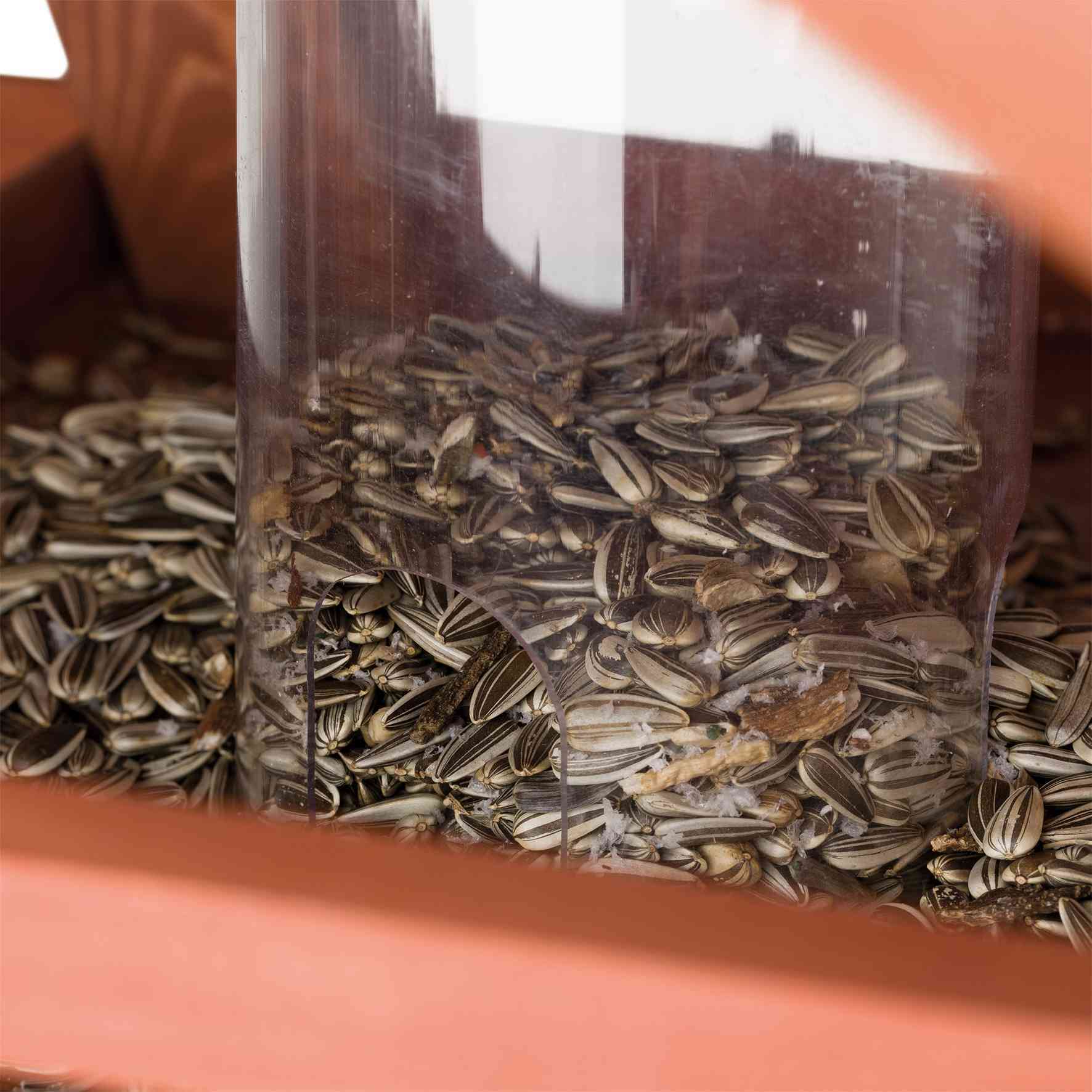 Vogelfutterhaus mit Ständer