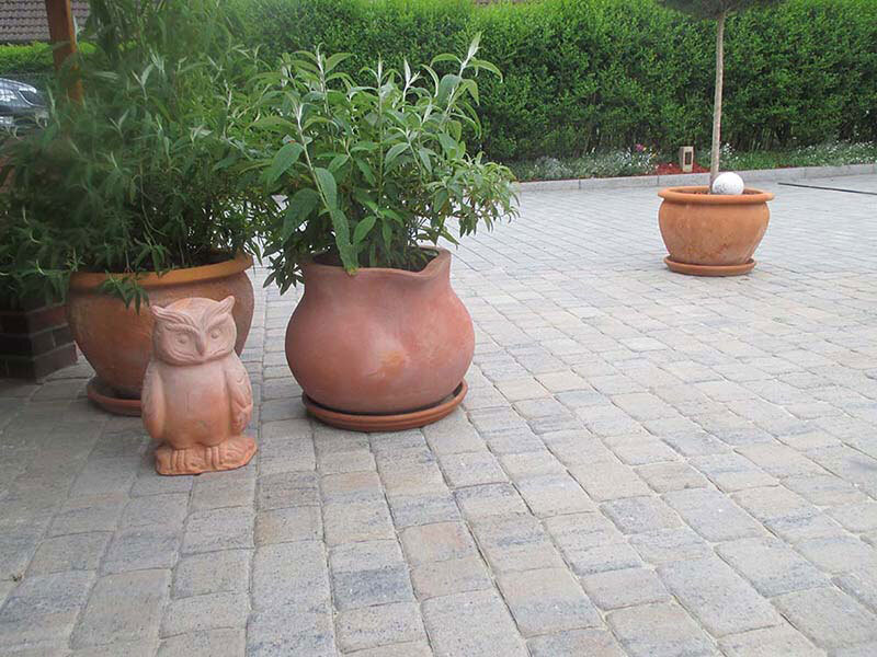 Pflaster Catavi, Mehrformat bei leitermann.de günstig kaufen Pflaster Catavi, Mehrformat