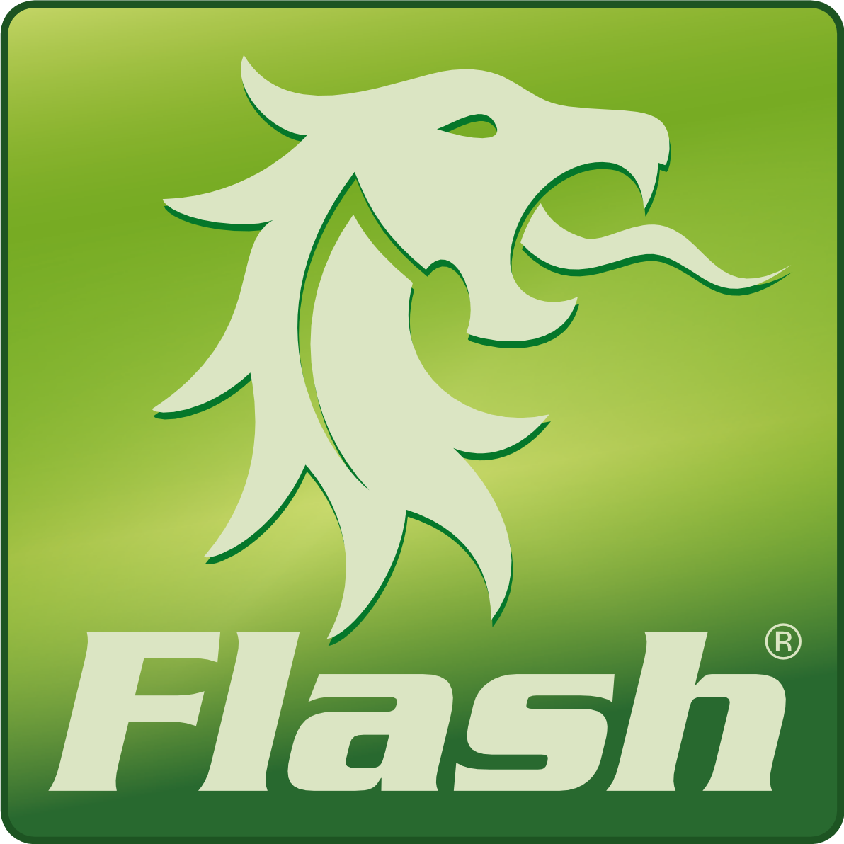 Flash green