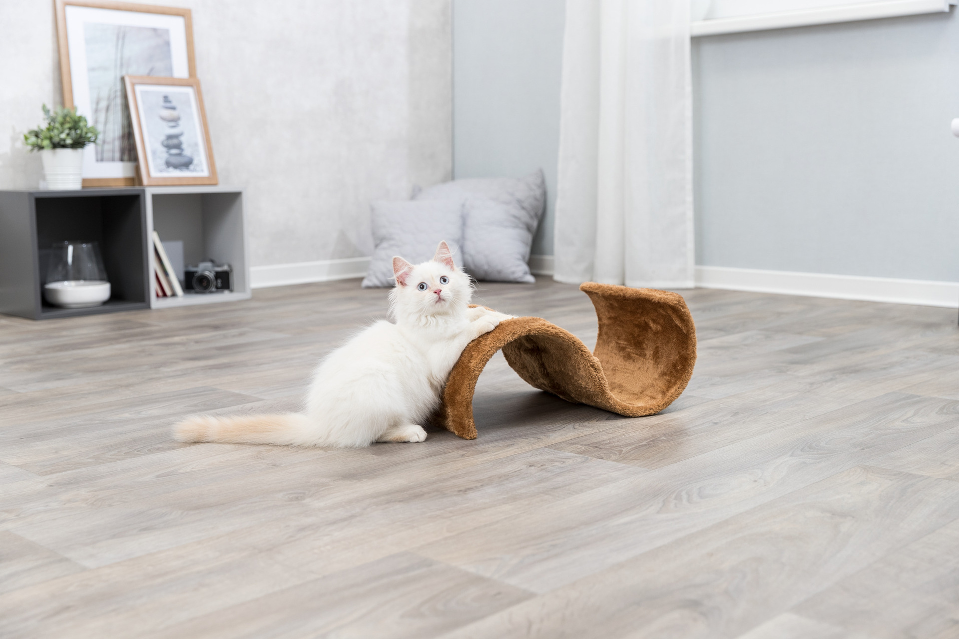 Kratzwelle Wavy bei leitermann.de günstig kaufen Kratzwelle Wavy