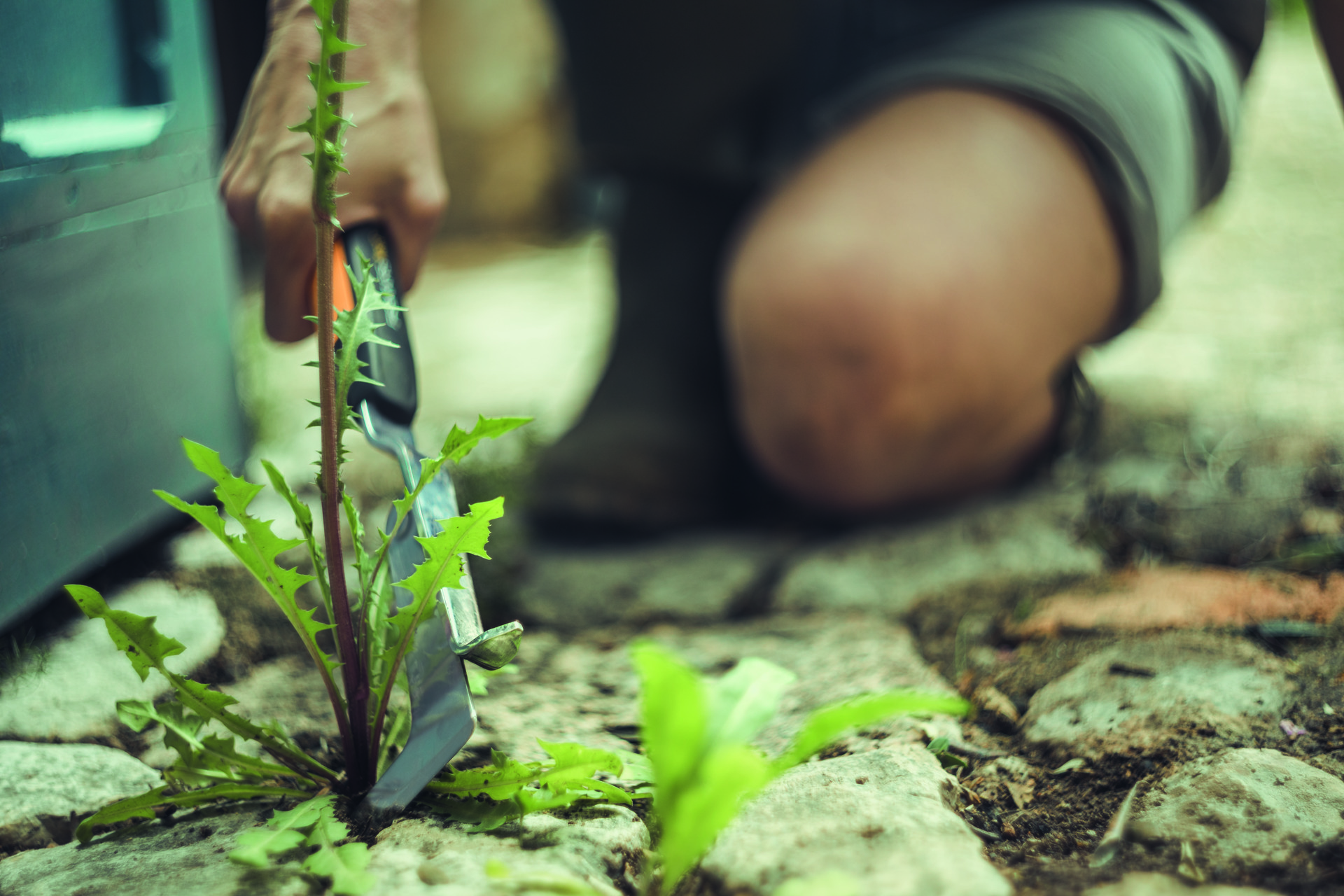 Xact Fugenkratzer bei leitermann.de günstig kaufen Xact Fugenkratzer