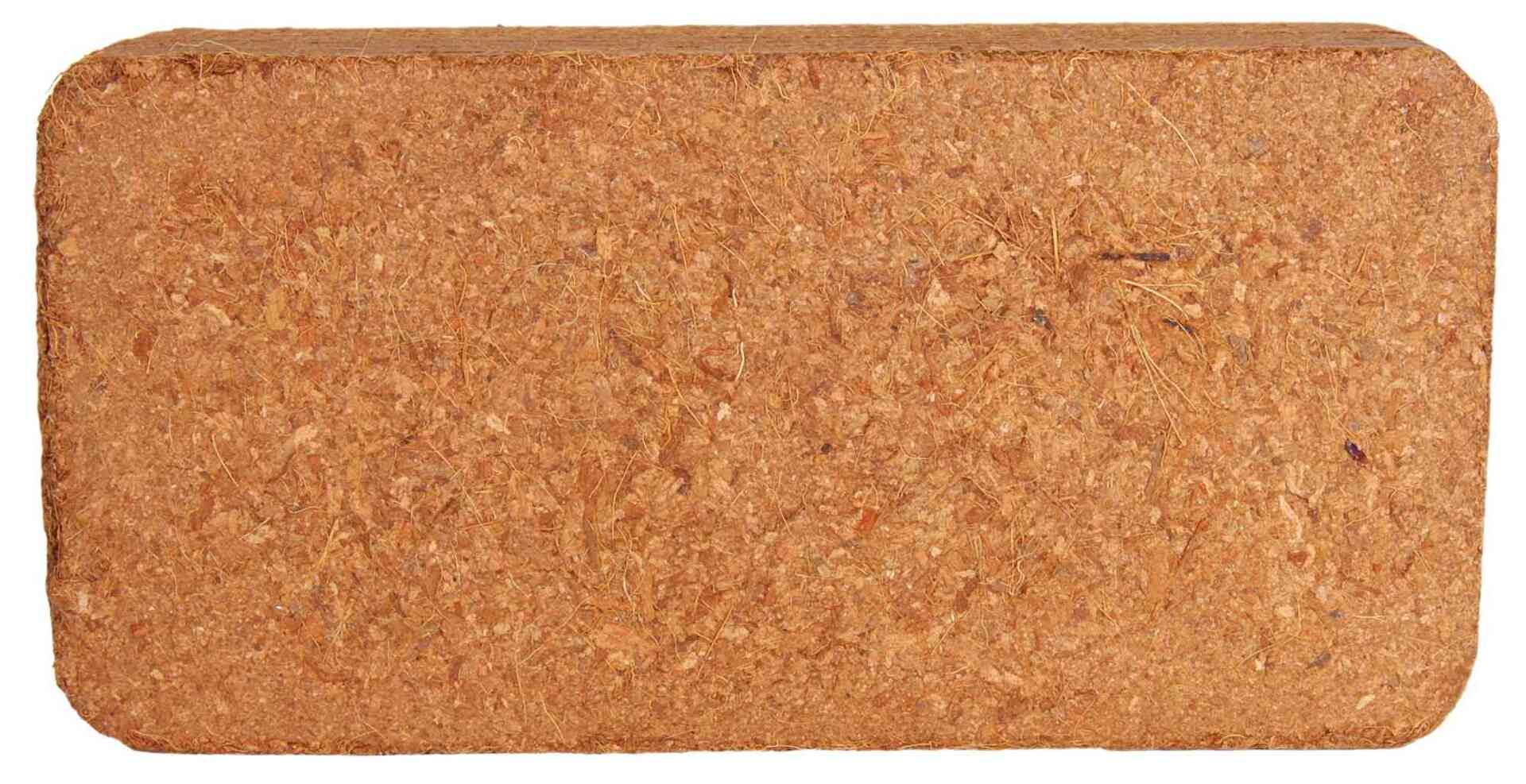 Kokosfaserhumus bei leitermann.de günstig kaufen Kokosfaserhumus