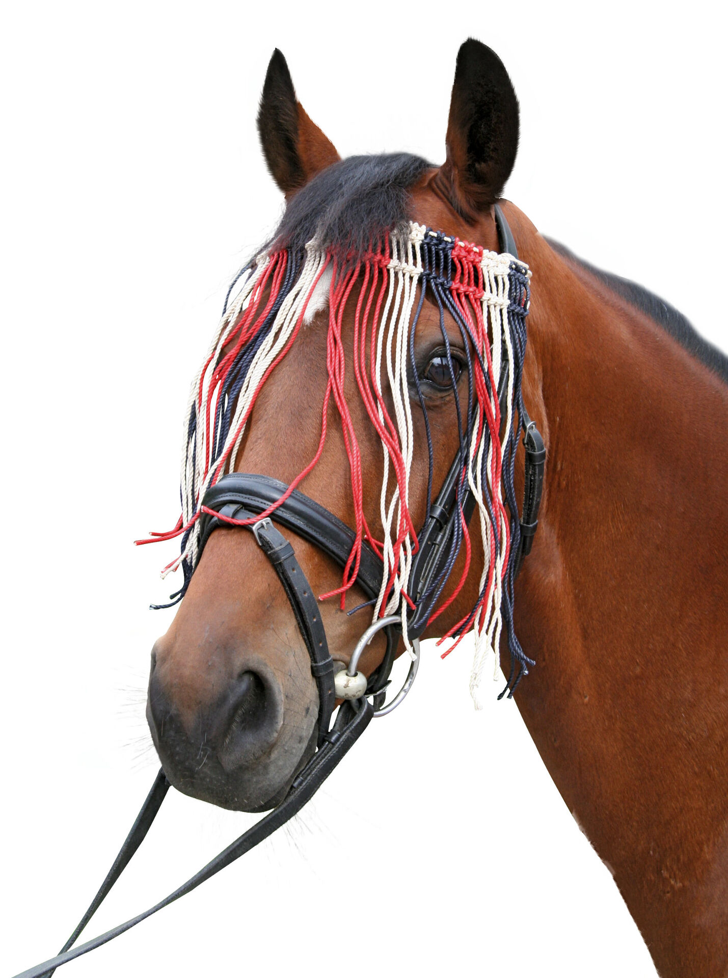 Fliegen Fransenband Pony