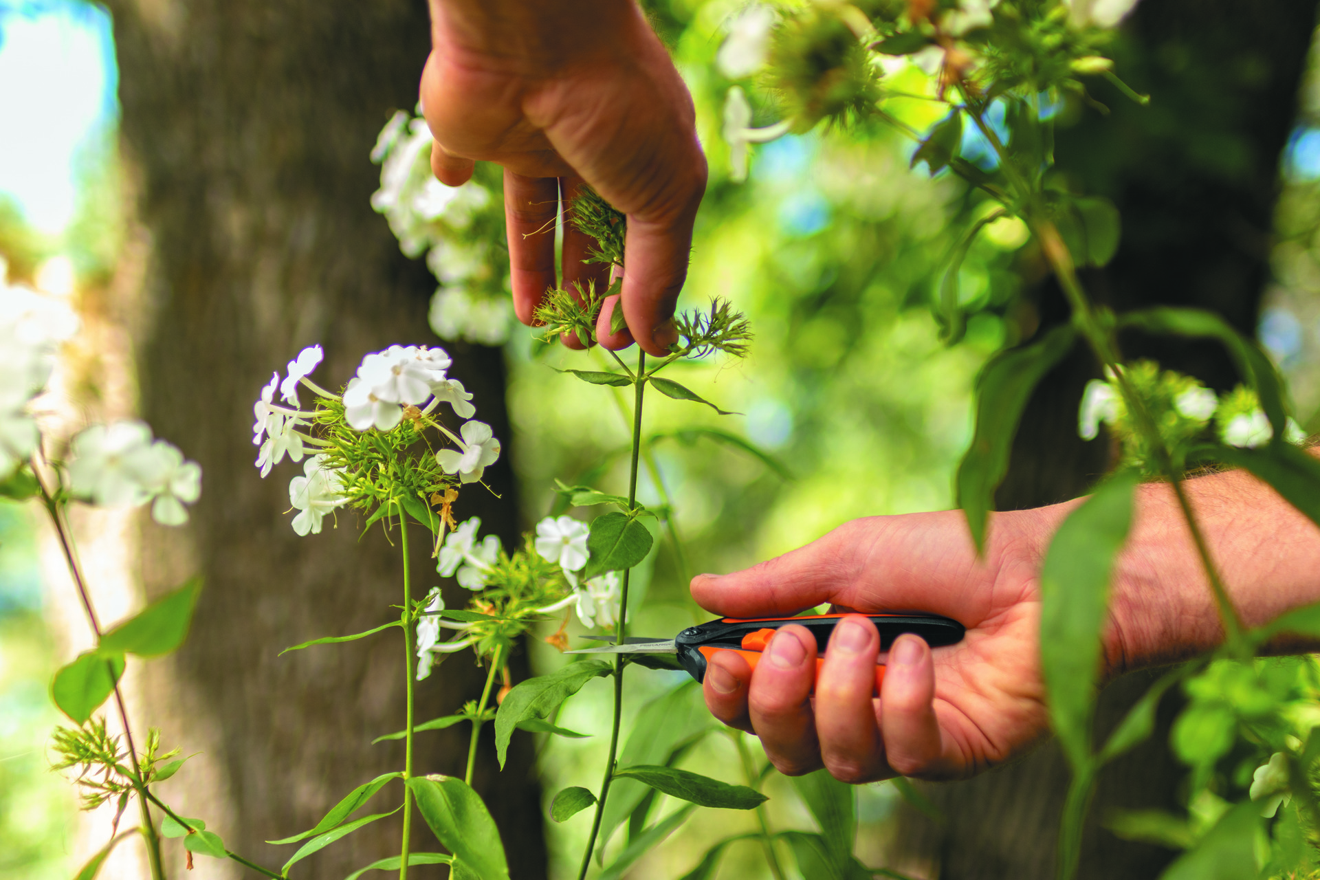 Solid Micro-Tip® Gartenschere SP130