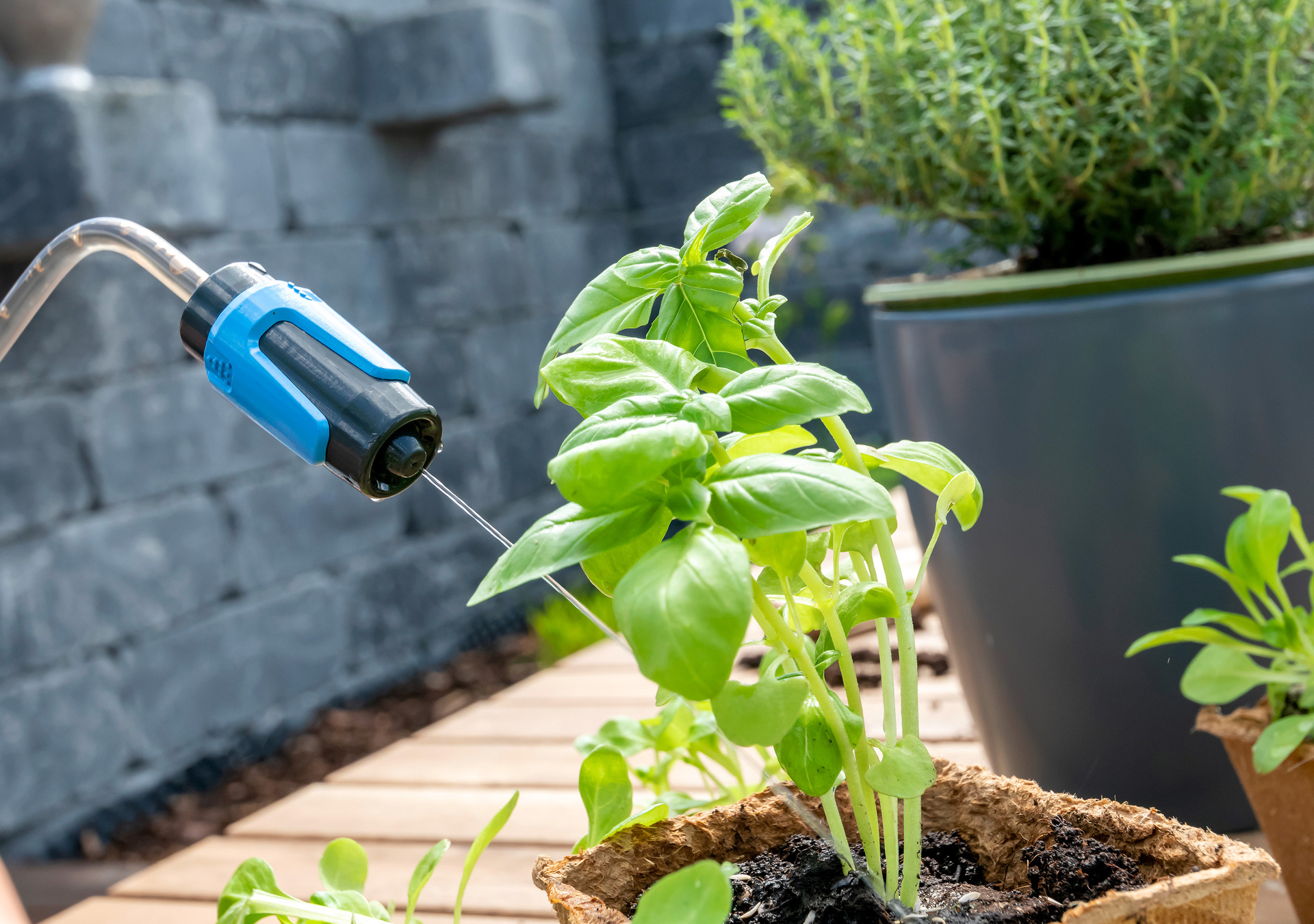 Sprühgießer bei leitermann.de günstig kaufen Sprühgießer