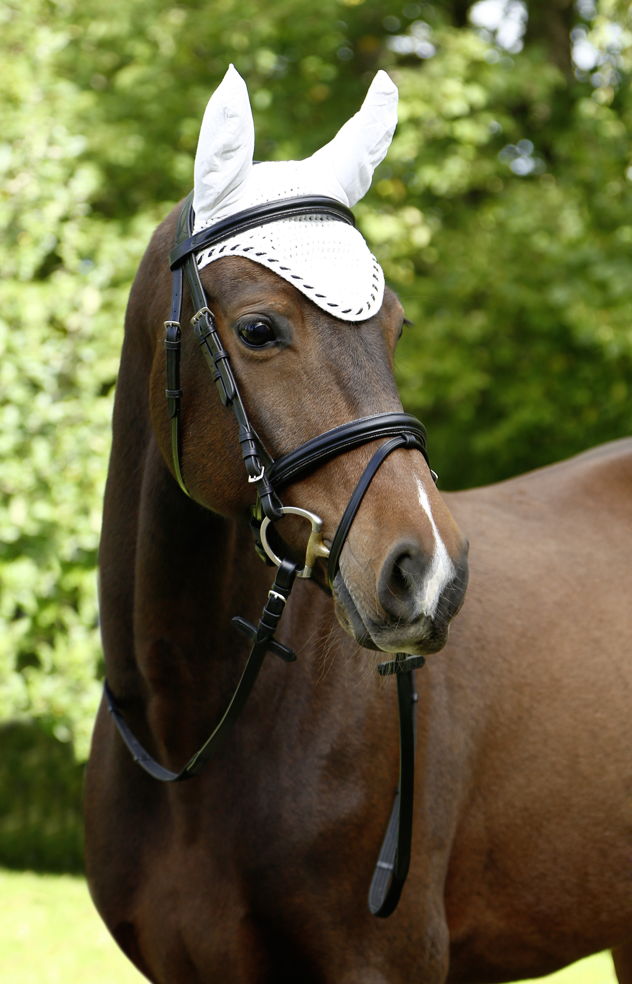 Fliegenhaube Classic bei leitermann.de günstig kaufen Fliegenhaube Classic