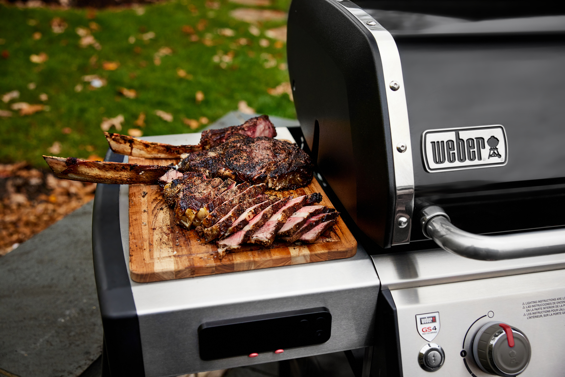 Genesis -R- Ii Ex-335 GBS