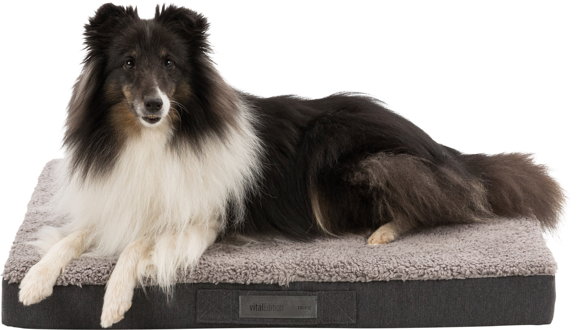 Vital Matratze Bendson bei leitermann.de günstig kaufen Vital Matratze Bendson