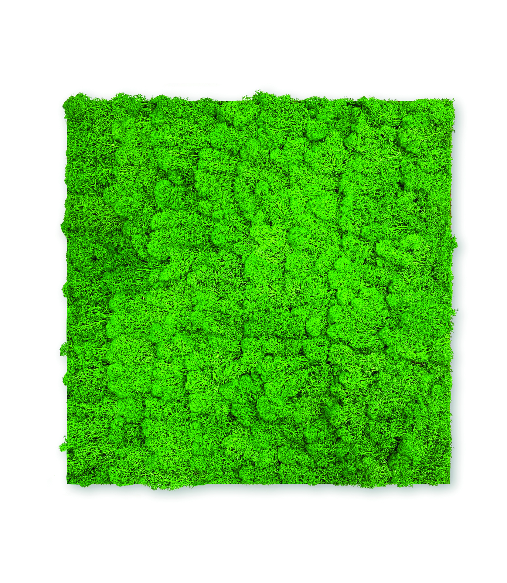 Wandpaneel Modular Wall Echtmoos