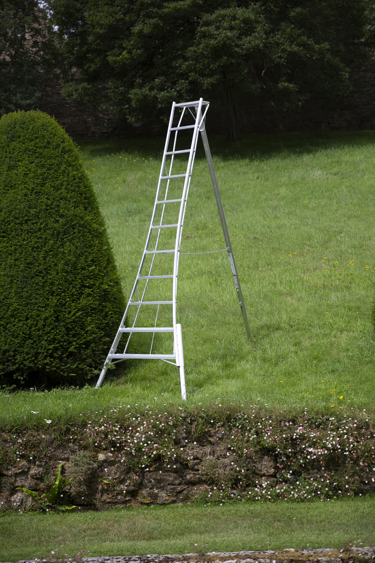 3-Holm-Gartenleiter höhenverstellbar