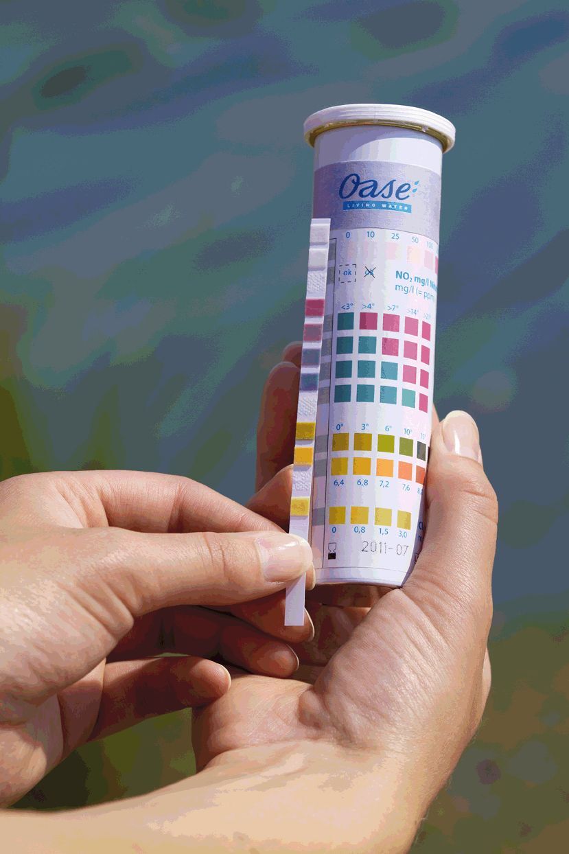 Wasseranalyse-Testset Aquaactiv Quicksticks 6 in1