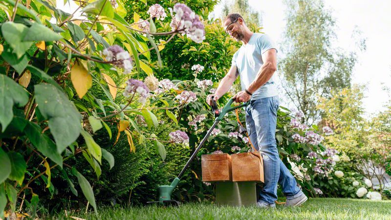 Akku-Rasentrimmer EasyGrassCut 18V-230 bei leitermann.de günstig kaufen Akku-Rasentrimmer EasyGrassCut 18V-230