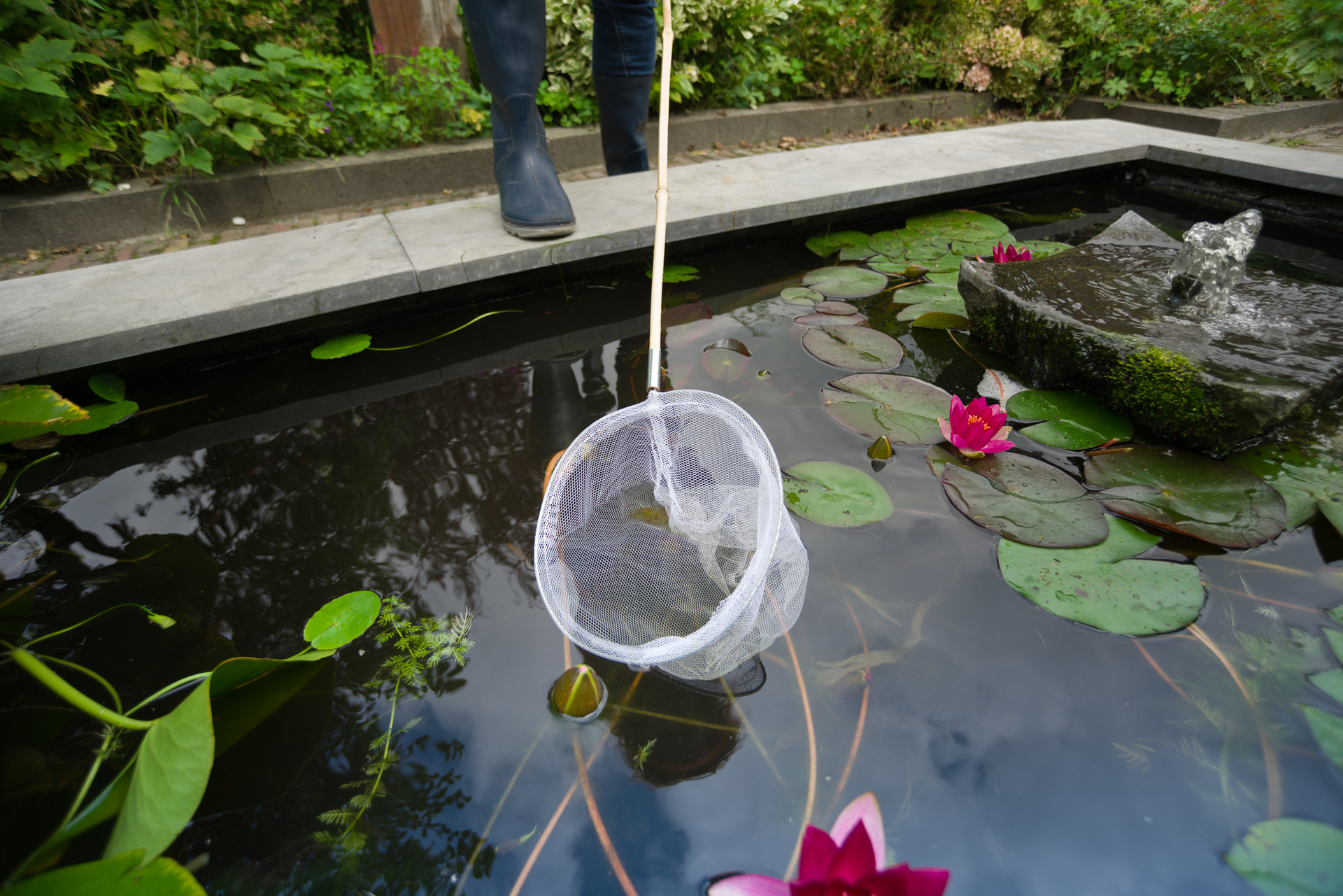 Fischkescher mit Bambusstiel