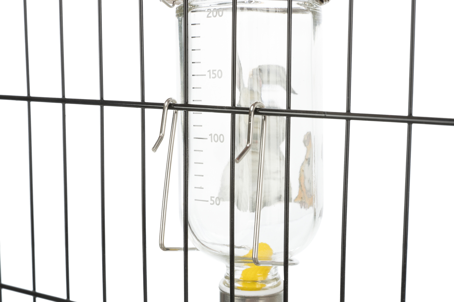 Glastränke bei leitermann.de günstig kaufen Glastränke