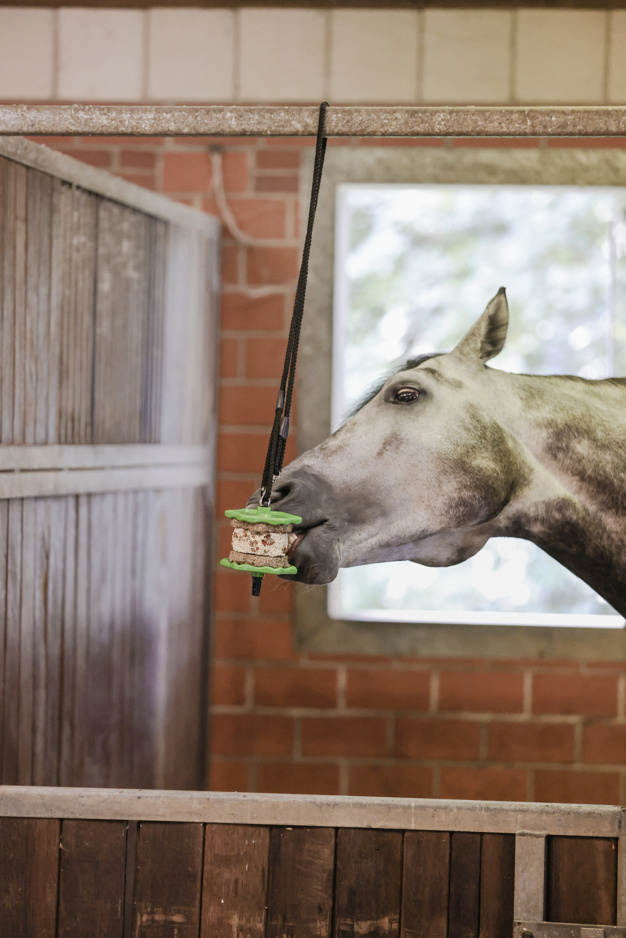 Delizia Sandwich 195g