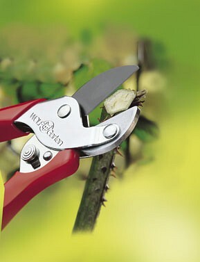 Gartenschere-Aktion RS-EN