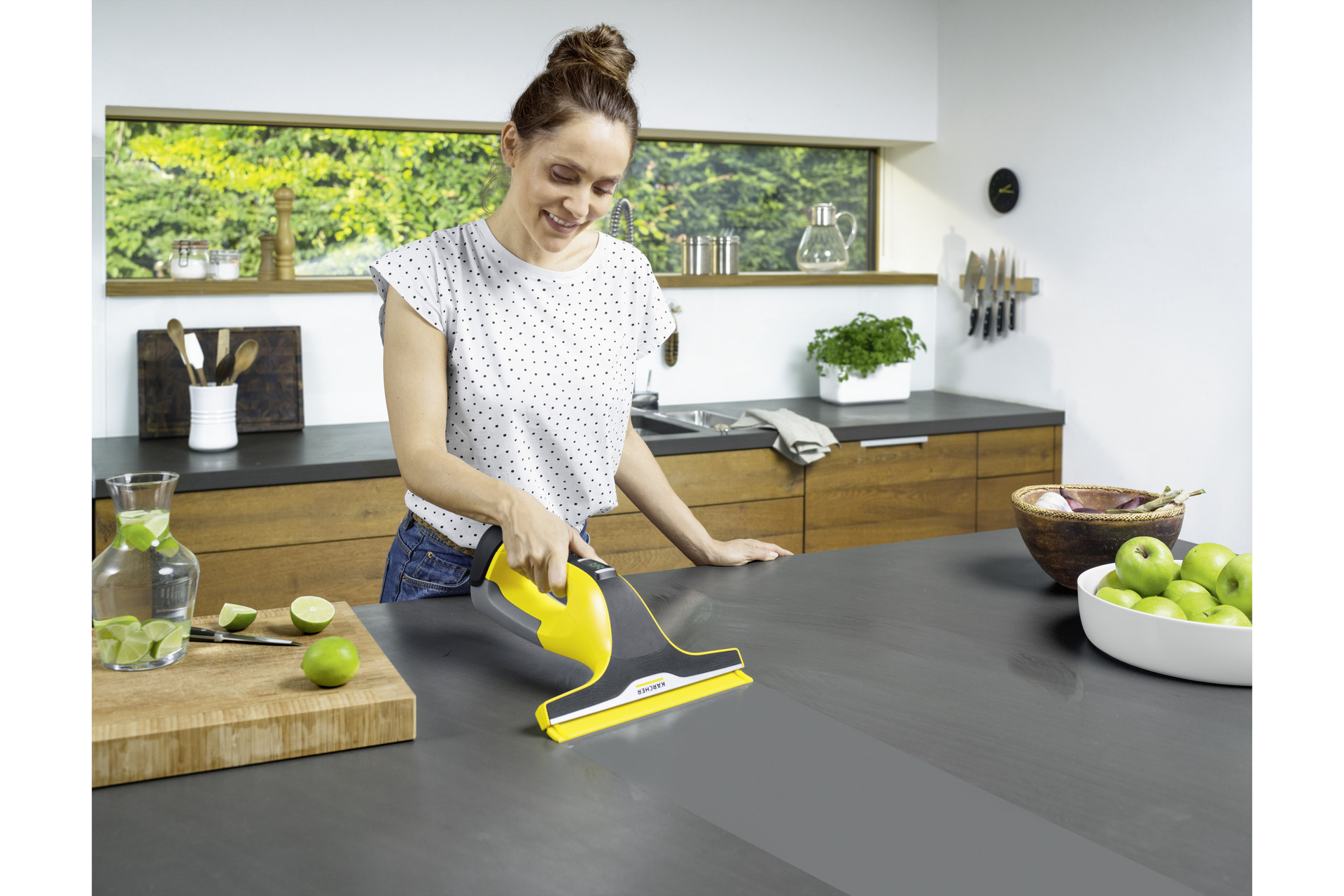 Fenstersauger WV 6 Plus