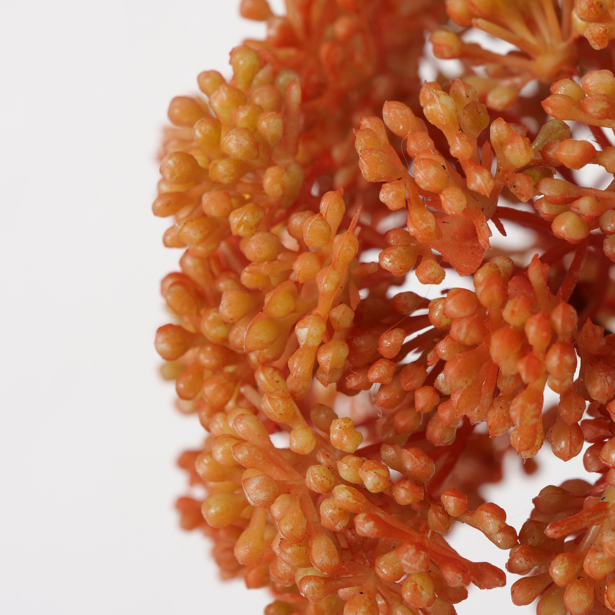 Stielblume 3-fach sortiert bei leitermann.de günstig kaufen Stielblume 3-fach sortiert