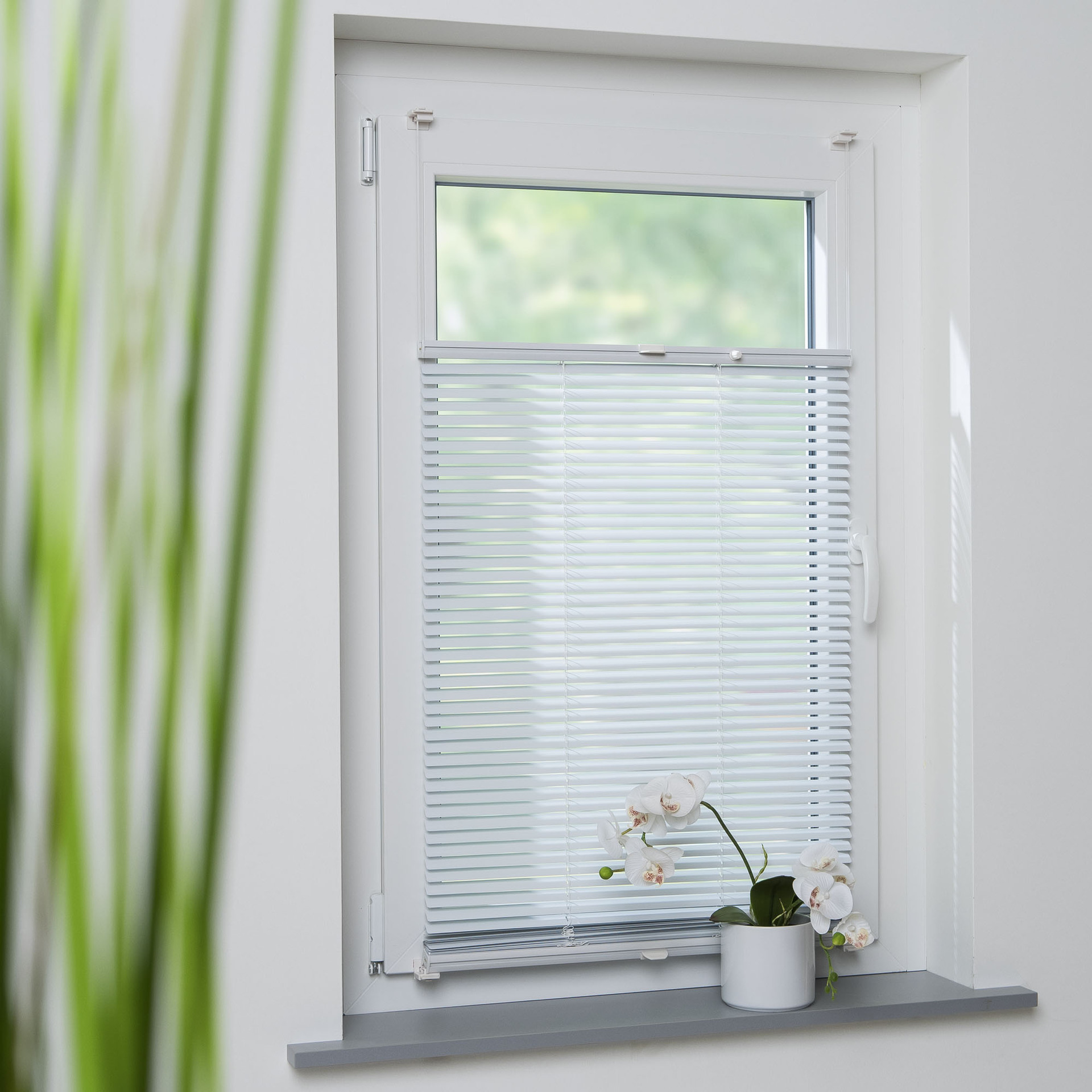 Klemmfix-Jalousie verspannt bei leitermann.de günstig kaufen Klemmfix-Jalousie verspannt