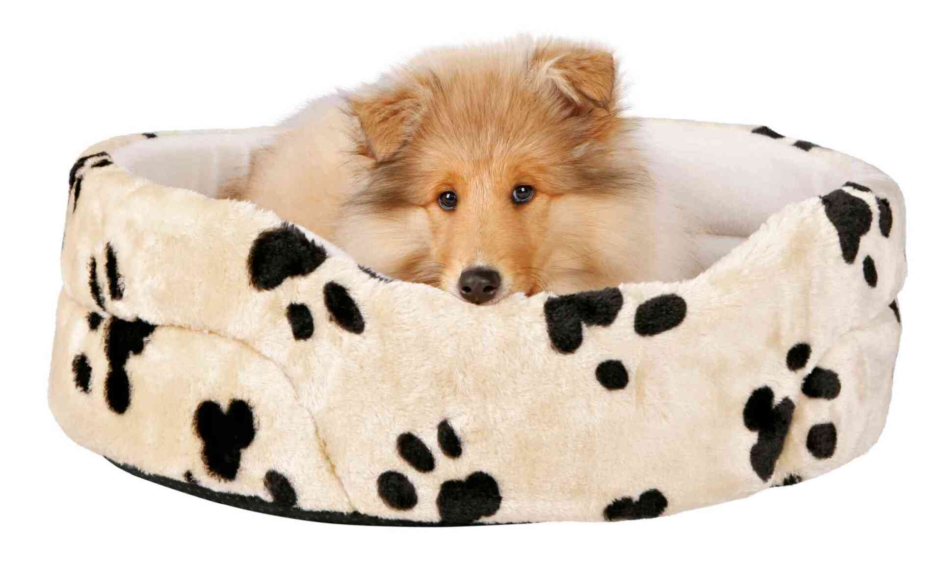 Bett Joey bei leitermann.de günstig kaufen Bett Joey