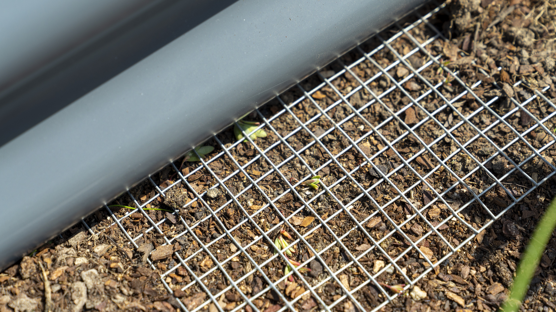 Drahtgeflecht Draneo für Hochbeet