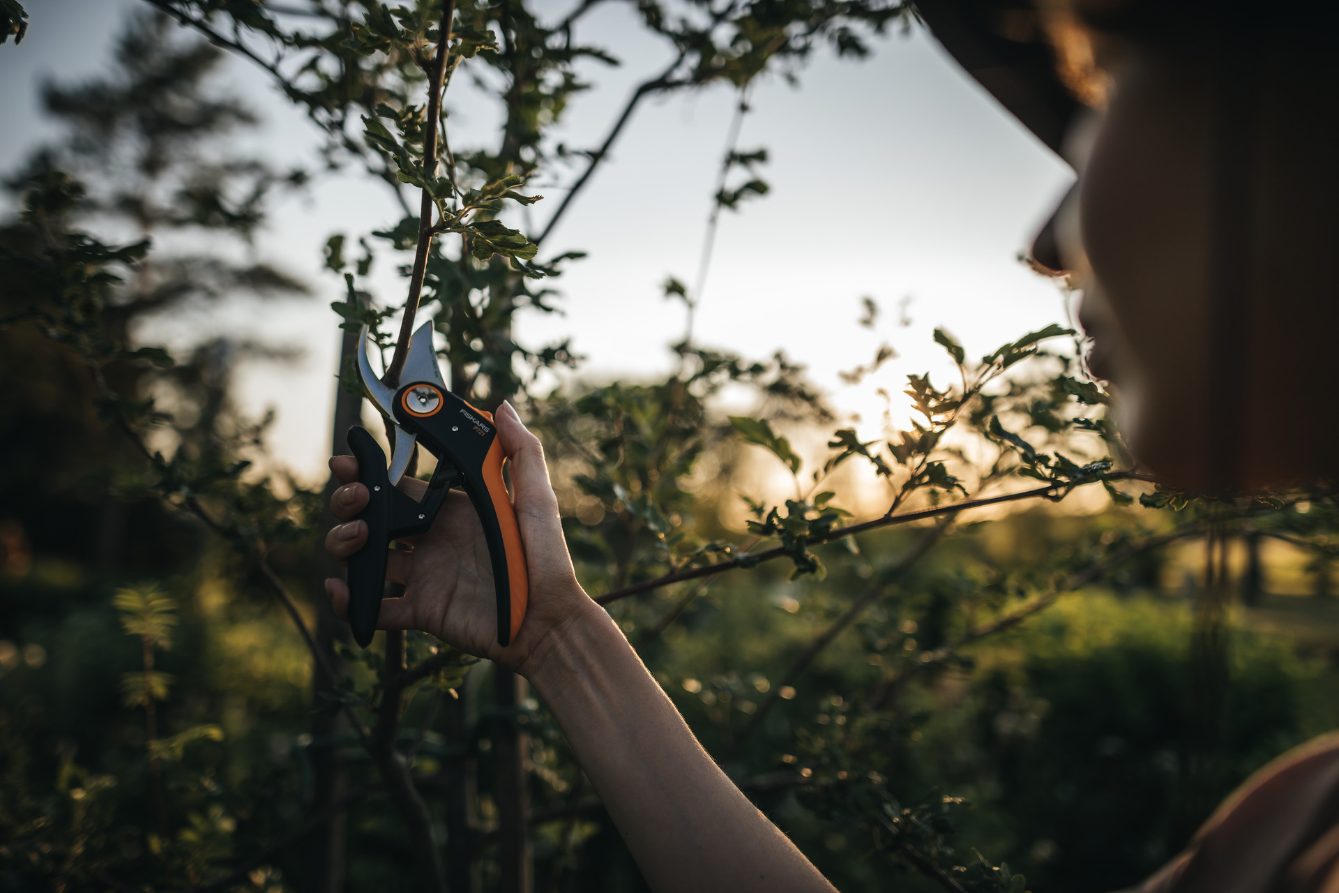 Plus Bypass-Gartenschere P721 bei leitermann.de günstig kaufen Plus Bypass-Gartenschere P721