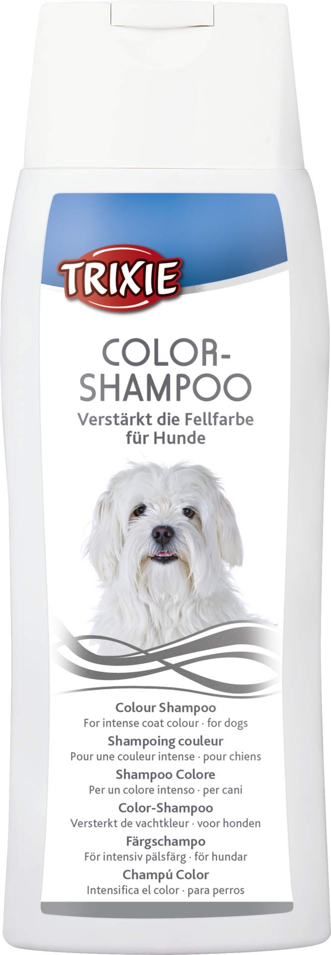 Color-Shampoo