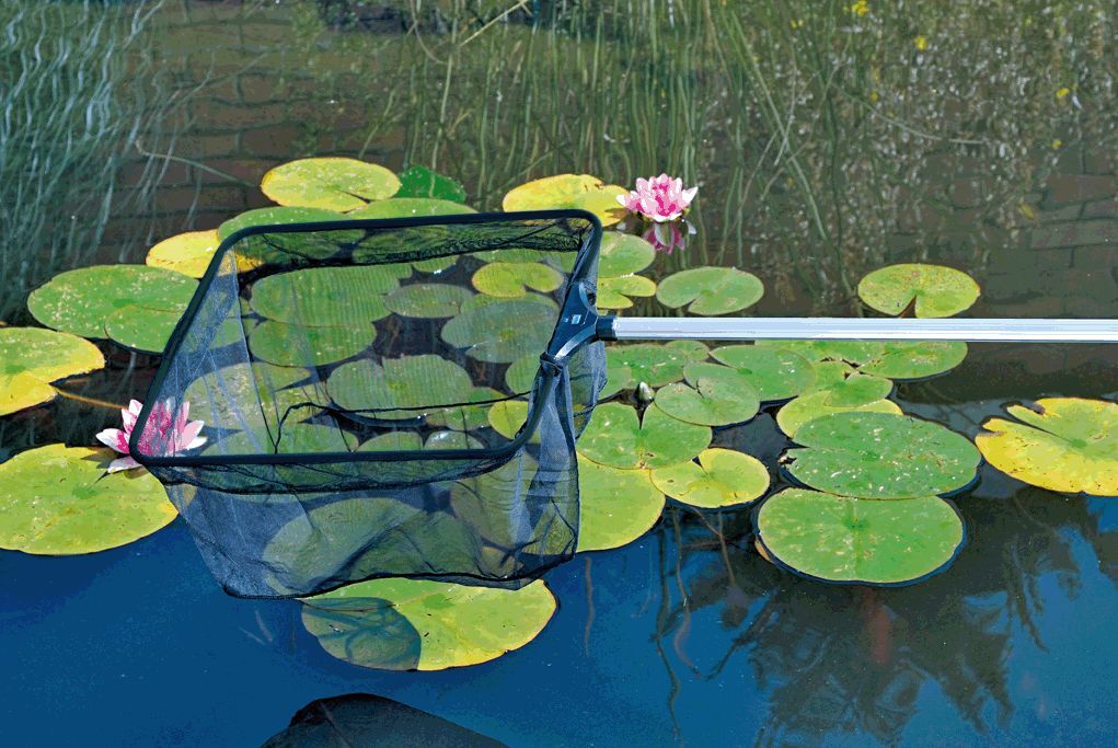 Profi Teichkescher bei leitermann.de günstig kaufen Profi Teichkescher