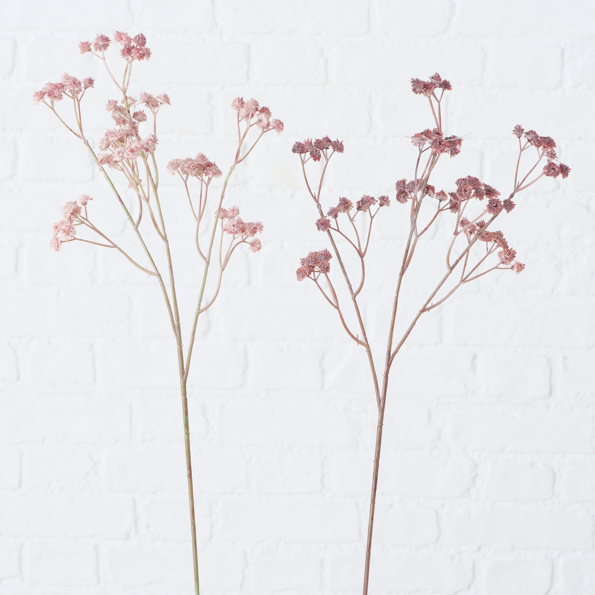 Dekozweig , 2-fach sortiert