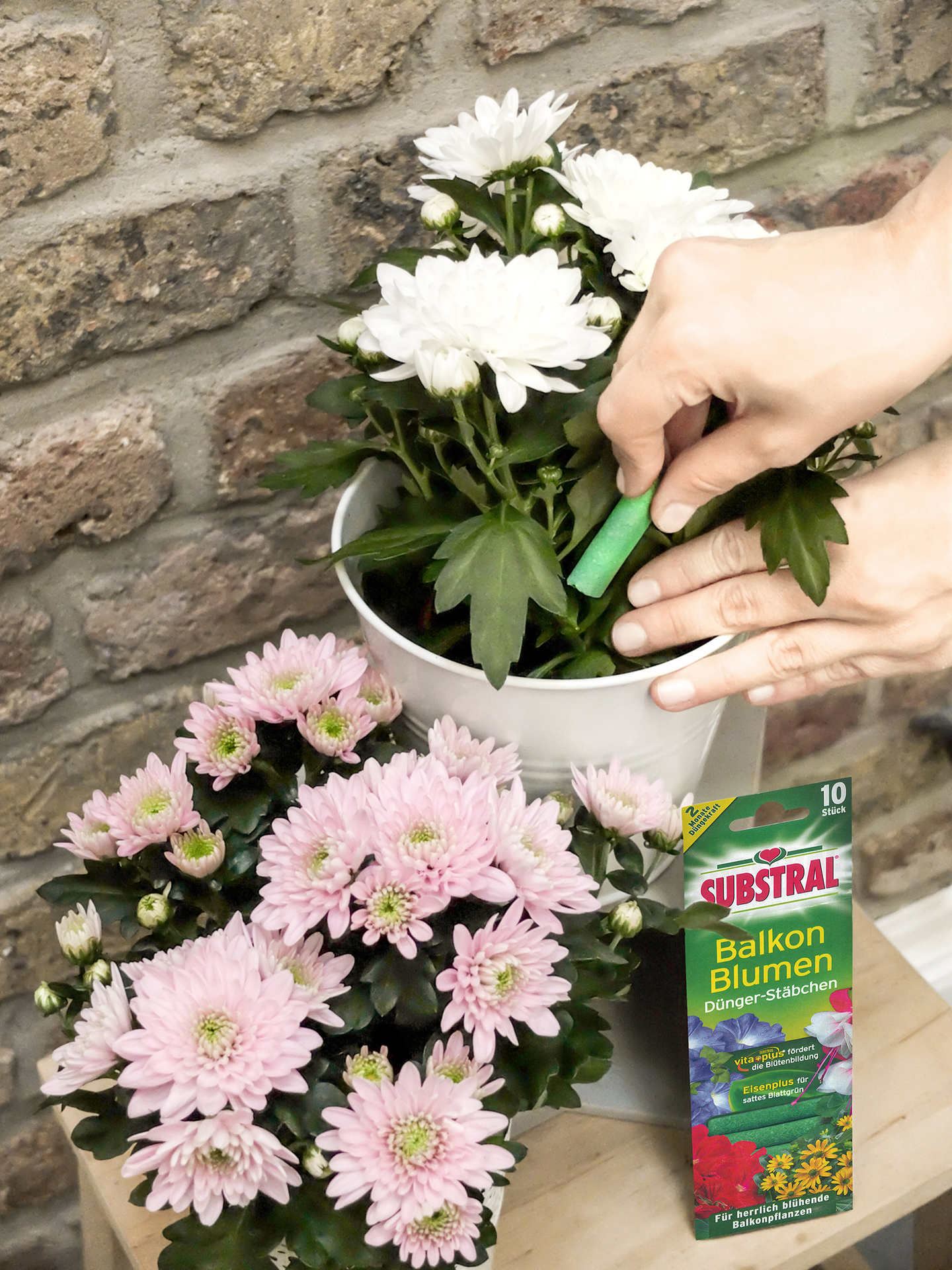 Balkonblumen Dünger-Stäbchen