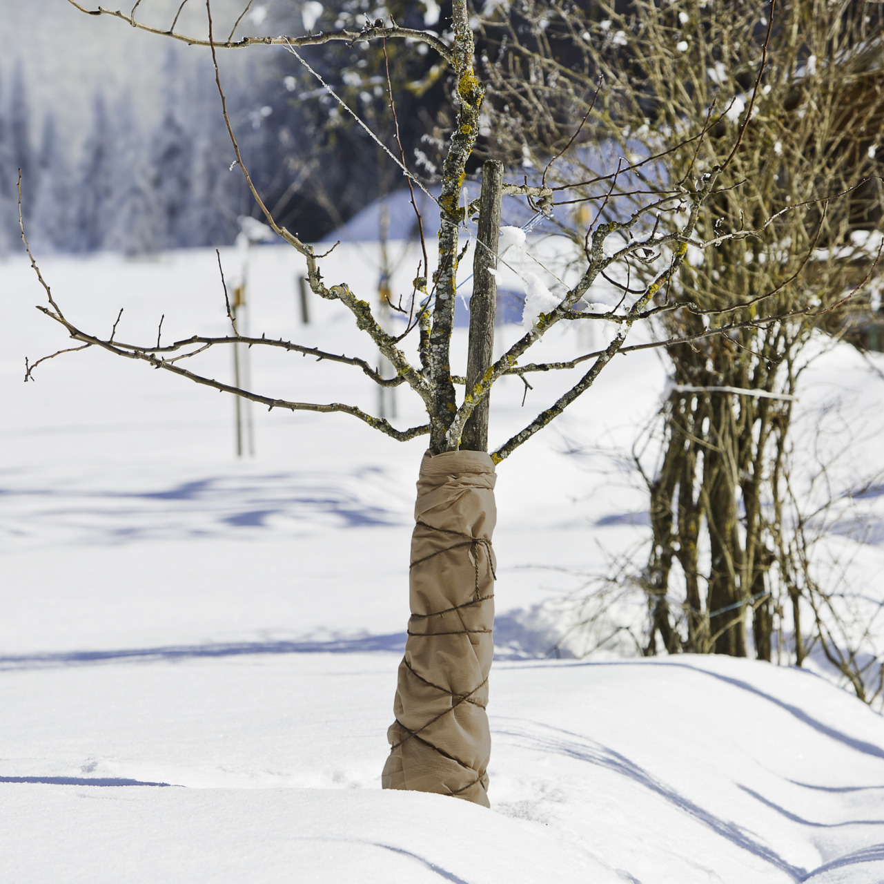 Winter-Vlies Superprotect bei leitermann.de günstig kaufen Winter-Vlies Superprotect