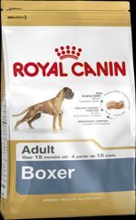 RC Breed Boxer 26 Adult