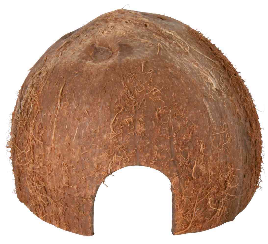 Kokosnuss-Halbschale