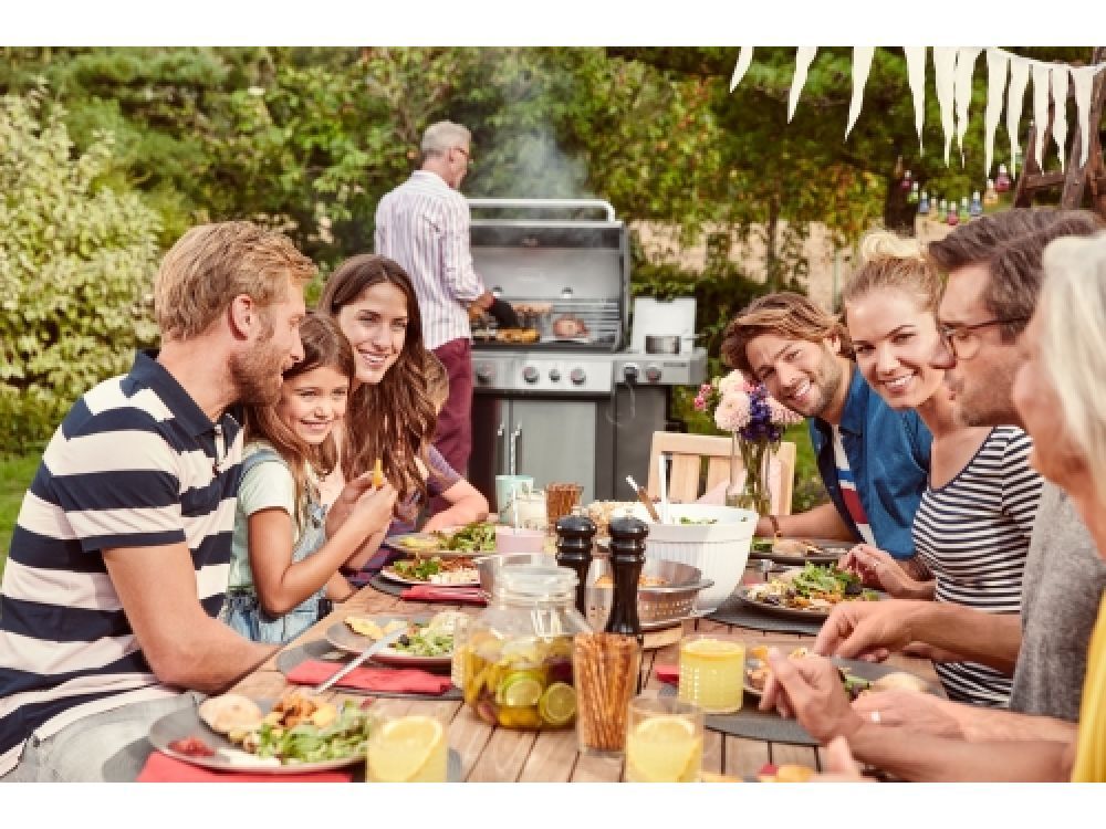 Genesis II SP-435 GBS 4 Brenner, Edelstahl