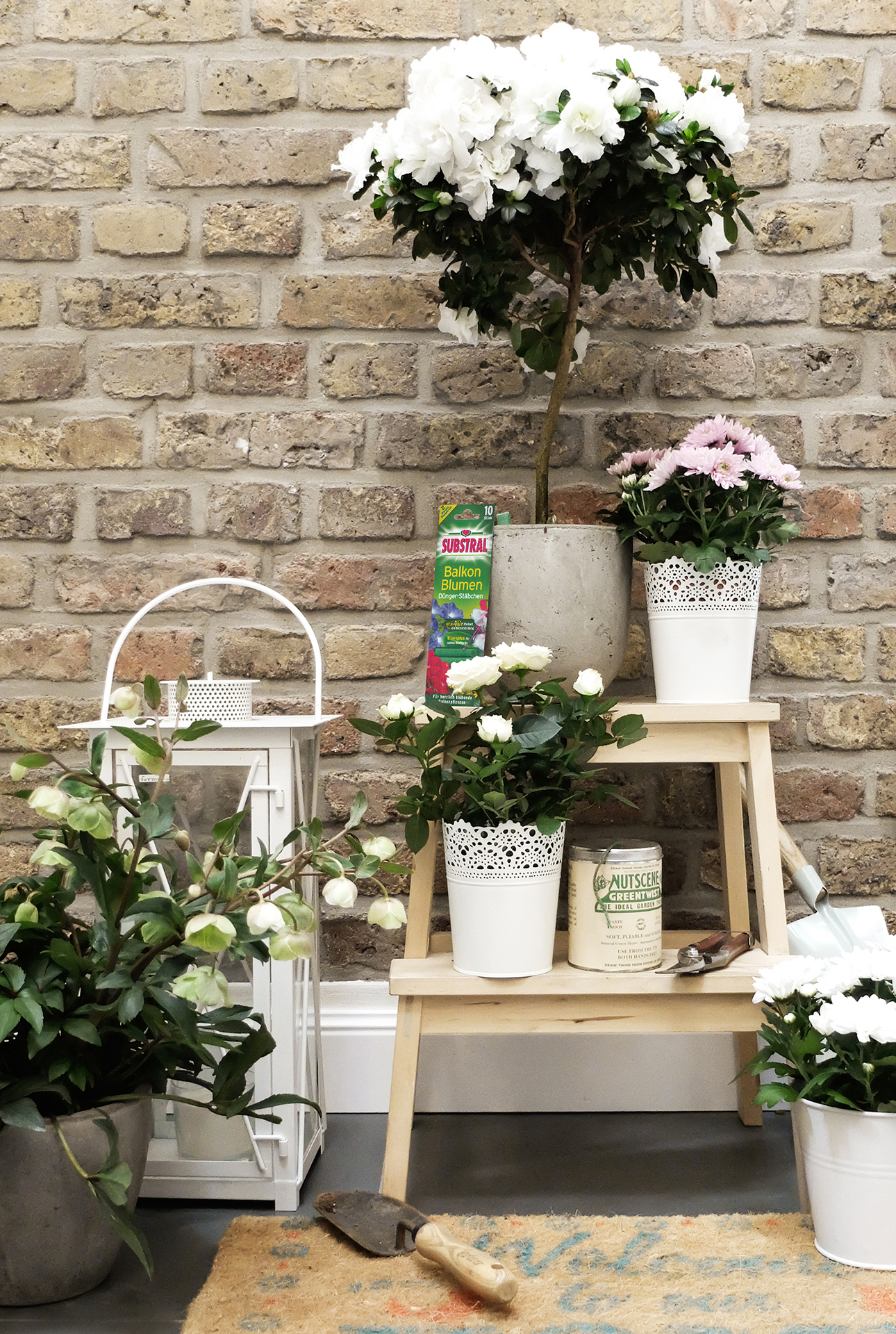 Balkonblumen Dünger-Stäbchen