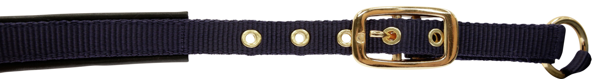 Fohlenhalfter TopLine