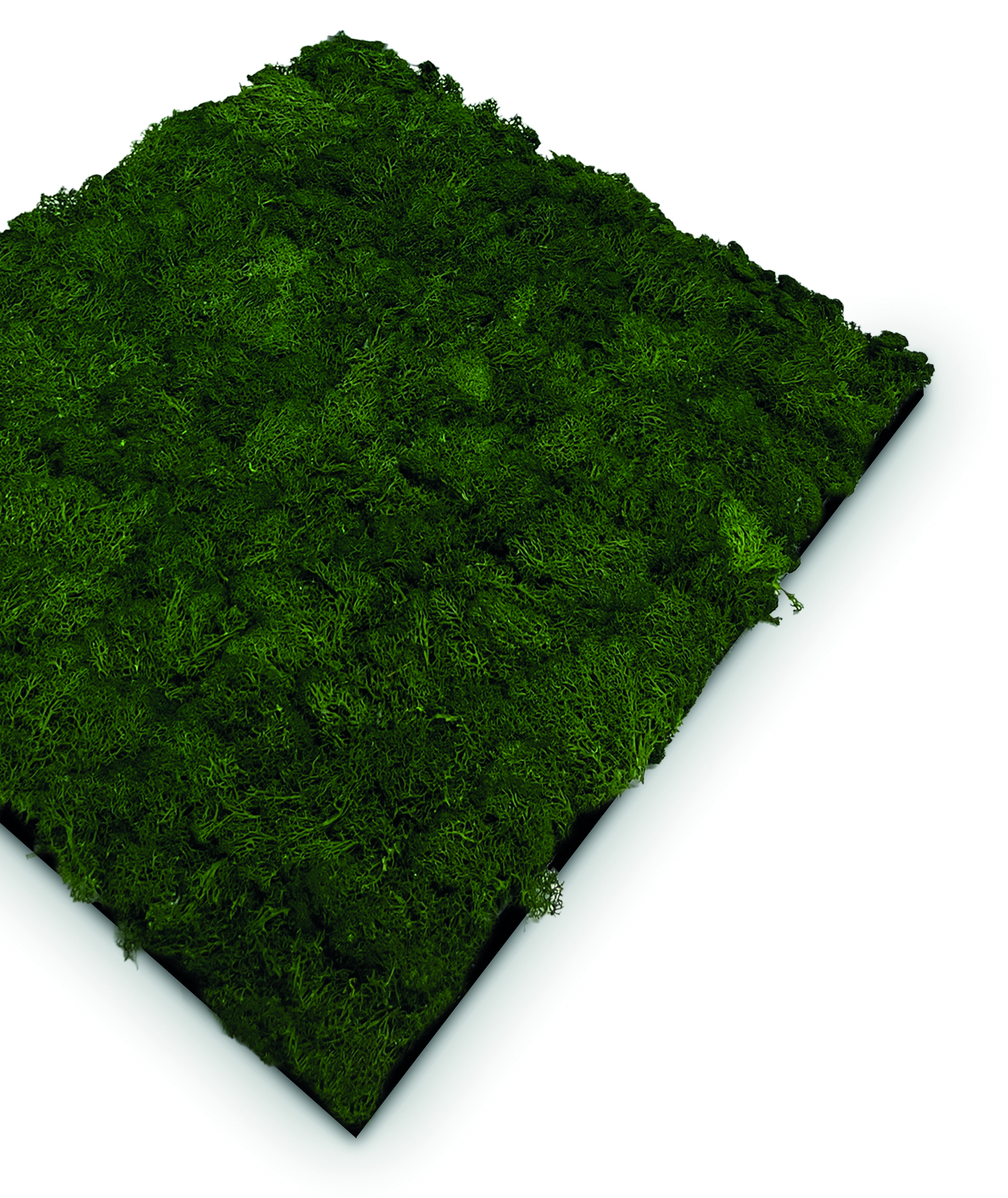 Wandpaneel Modular Wall Echtmoos bei leitermann.de günstig kaufen Wandpaneel Modular Wall Echtmoos