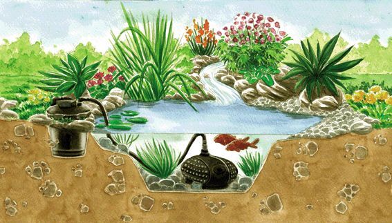 Pontec Pondopress bei leitermann.de günstig kaufen Pontec Pondopress