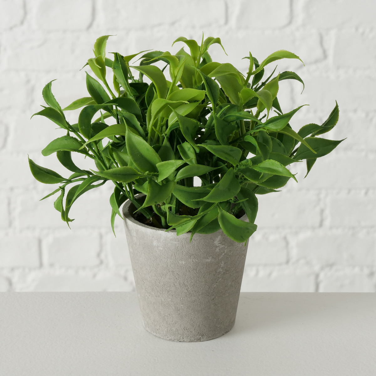 Topfpflanze 3-fach sortiert