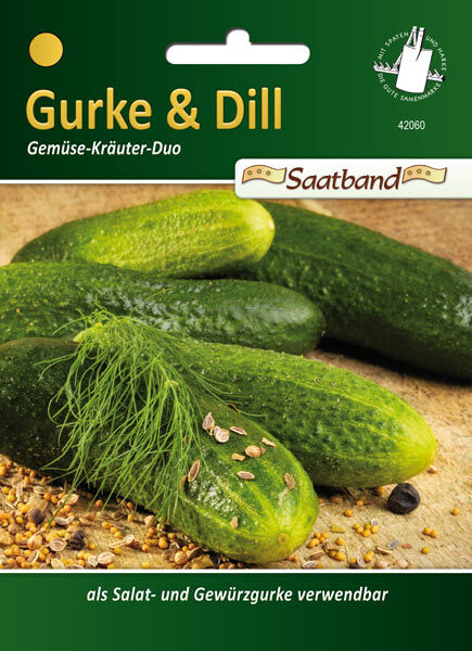 Gurken-Dill - Gemüse-Kräuter-Duo