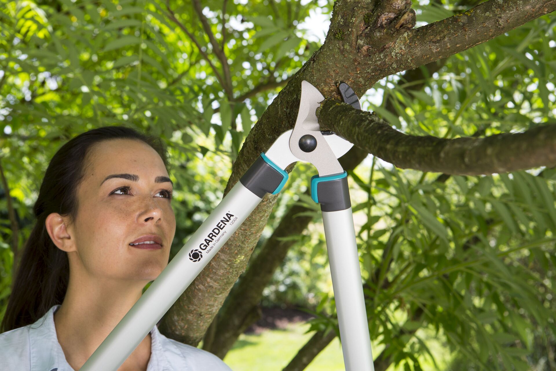 Astschere EasyCut 680 A