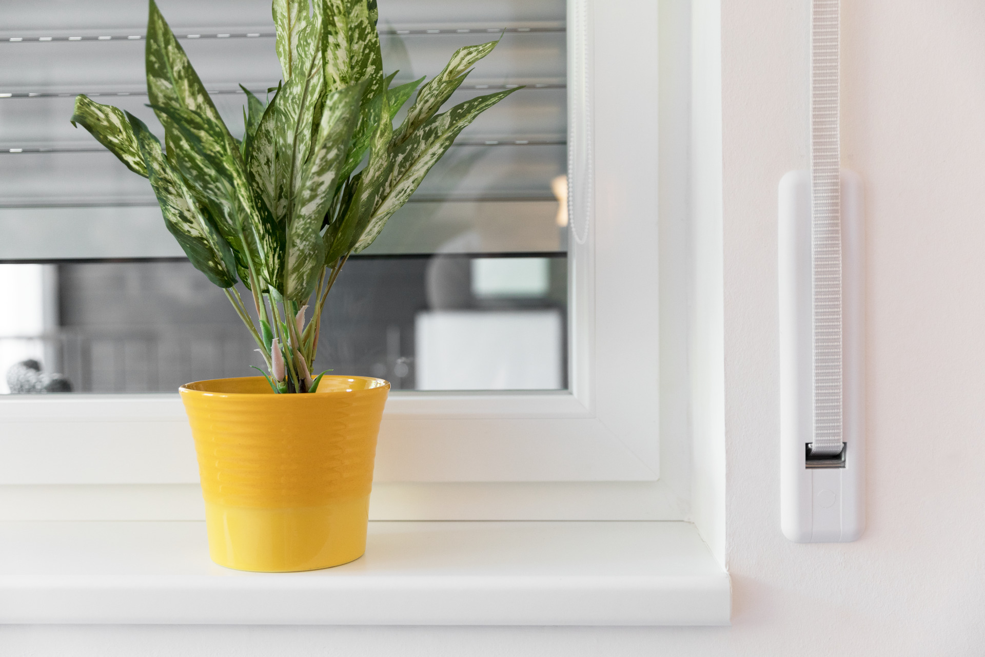 Gurtwickler-Abdeckplatte FLEXO Maxi, mit 6 Lochabständen