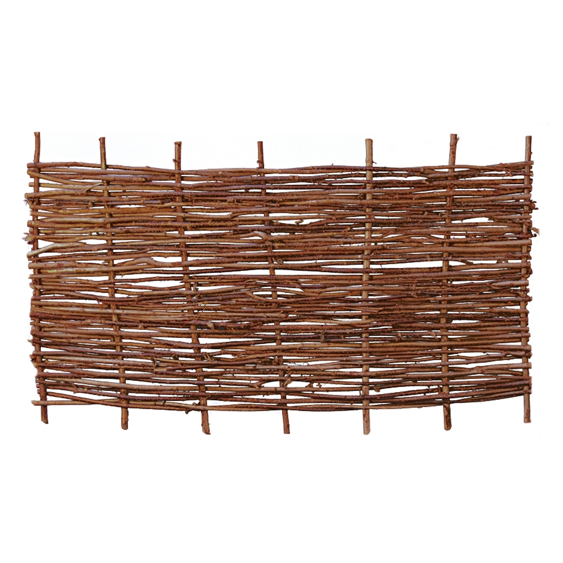 PABLO Haselnusszaun, stabil